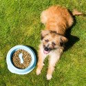 BECO miska dla psa spowalniająca jedzenie
