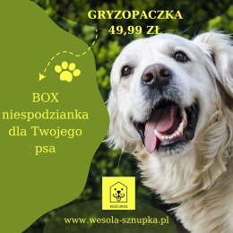 GryzoPaczka - zestaw smaków i gryzaków dla psa