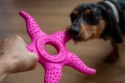 Kiwi Walker 2w1 OCTOPUS & STARFISH zabawka dla psa