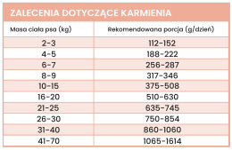 Mokra karma - Gourmet Jeleń z cukinią dla psów dorosłych 400 g. PERRO