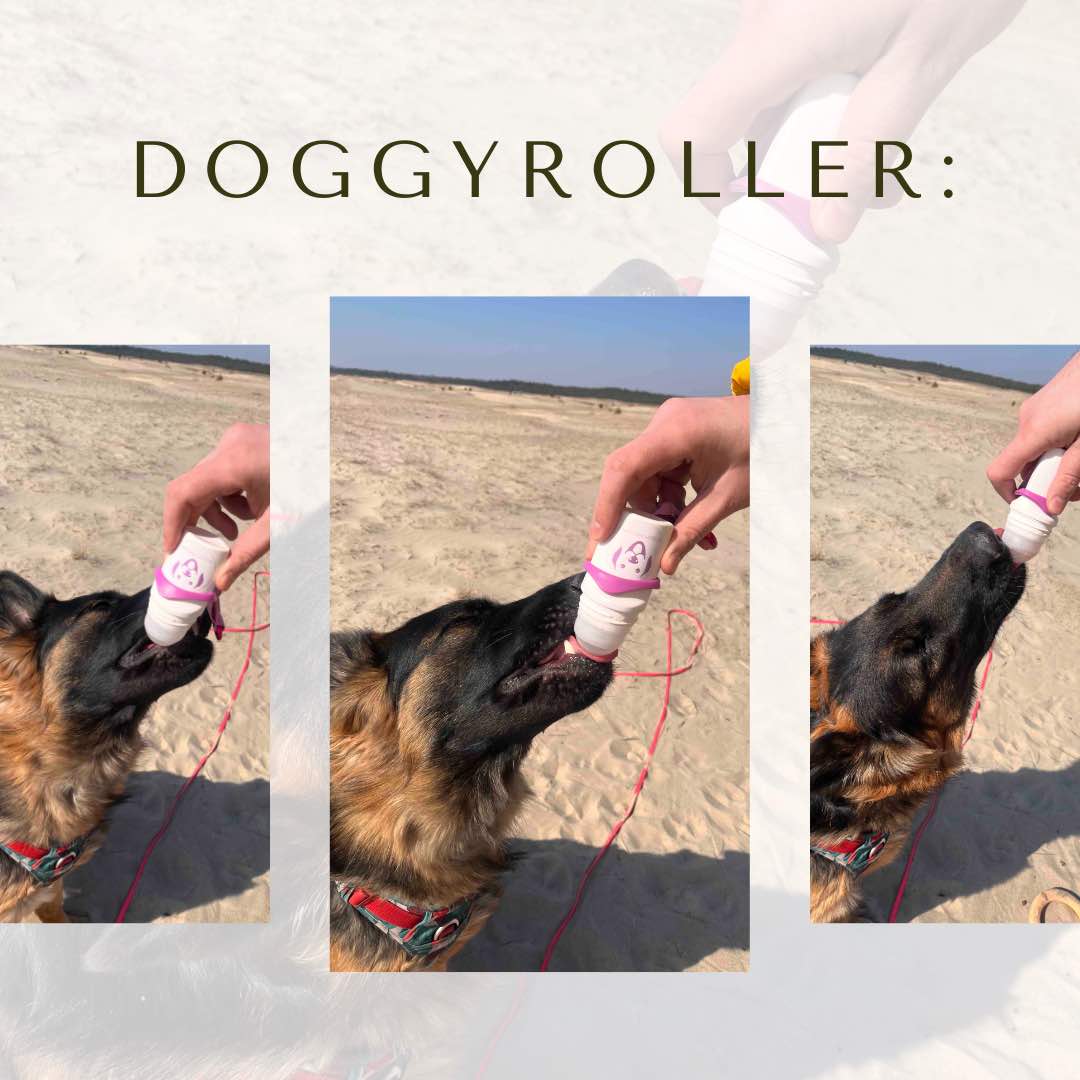 DoggyRoller: Idealny Gadżet dla Twojego Psa