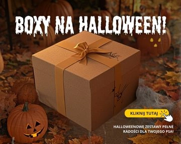 Boxy na Halloween