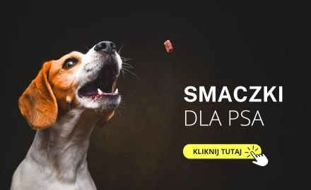 Gryzaki dla psa Wesoła Sznupka